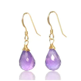 Amethyst Earrings with Gold Filled French Ear Wire