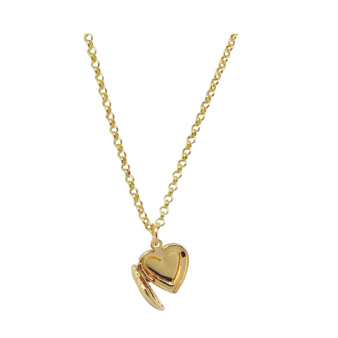 Dana Gold Heart Locket Necklace