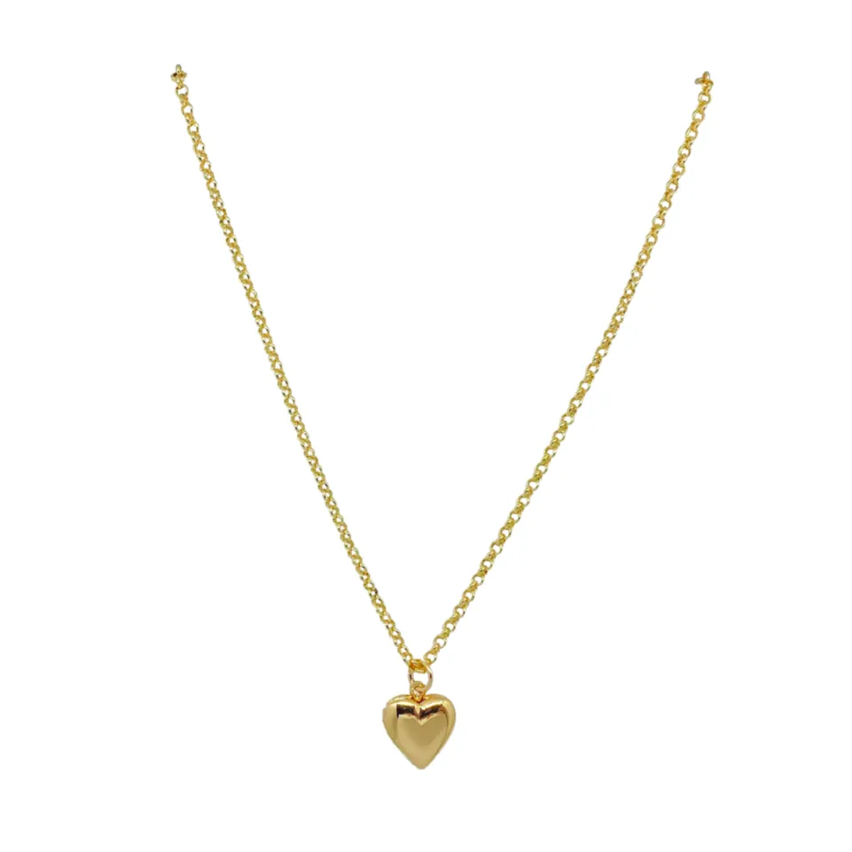 Dana Gold Heart Locket Necklace