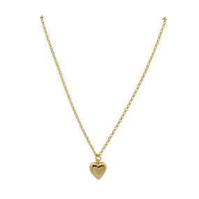 Dana Gold Heart Locket Necklace