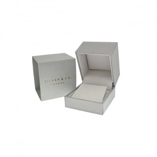 Silver Mother of Pearl Cubic Zirconia Earrings SEG0088