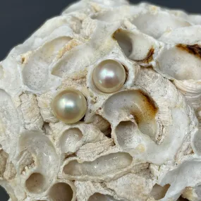 vintage soft golden color Japan Akoya pearl stud earrings